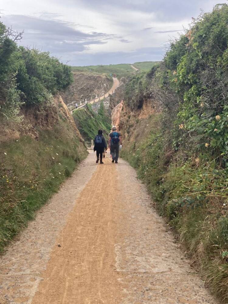 The Power of Walking