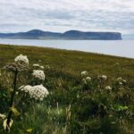 Orkney Islands Scotland