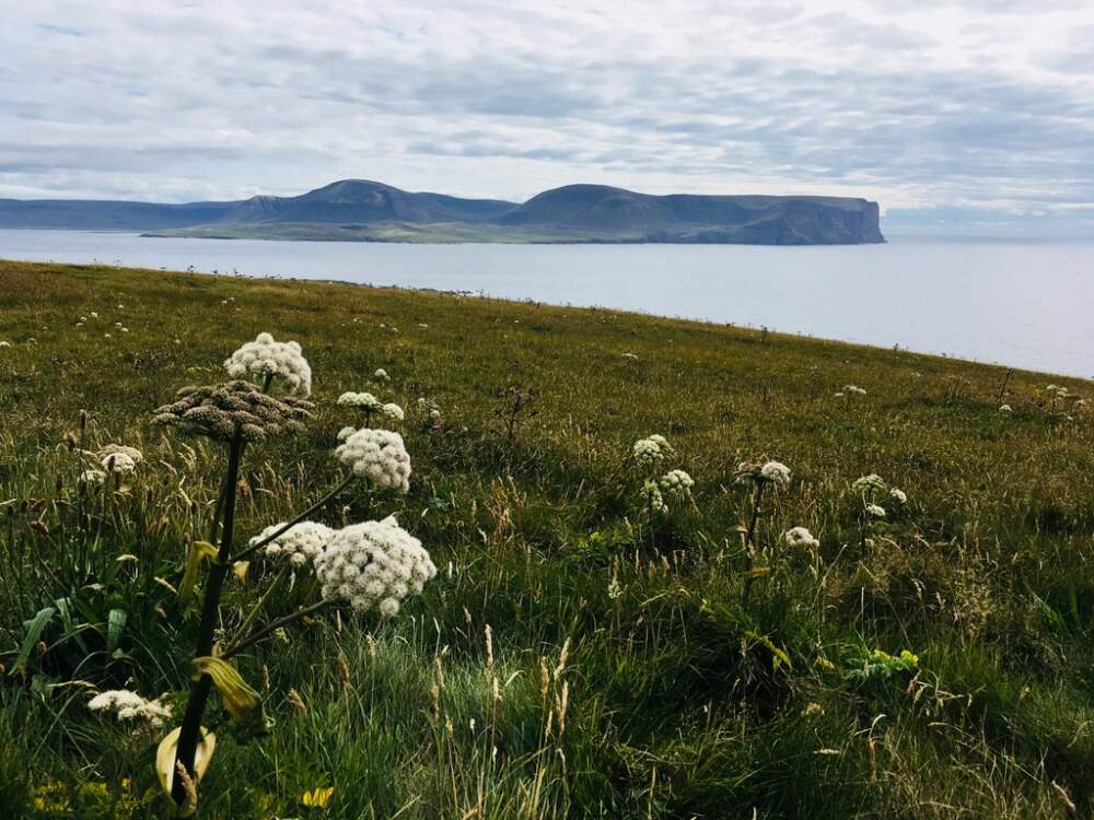 Orkney Islands Scotland