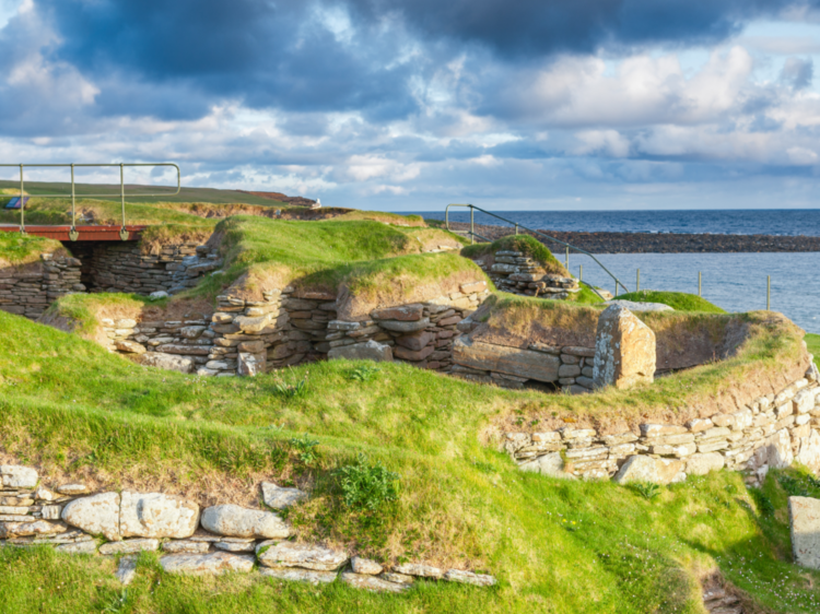 Discover Orkney’s Healing Beauty: “The Outrun” – A Tale of Resilience and Redemption Amidst the Wild Landscapes