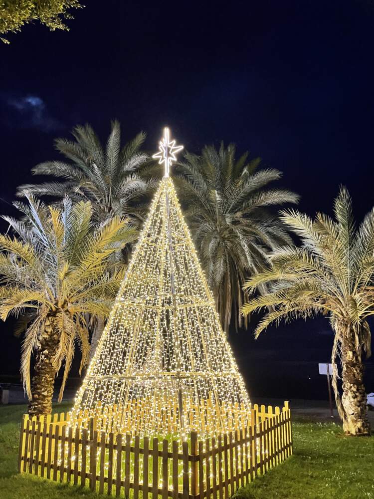 Malaga Lights