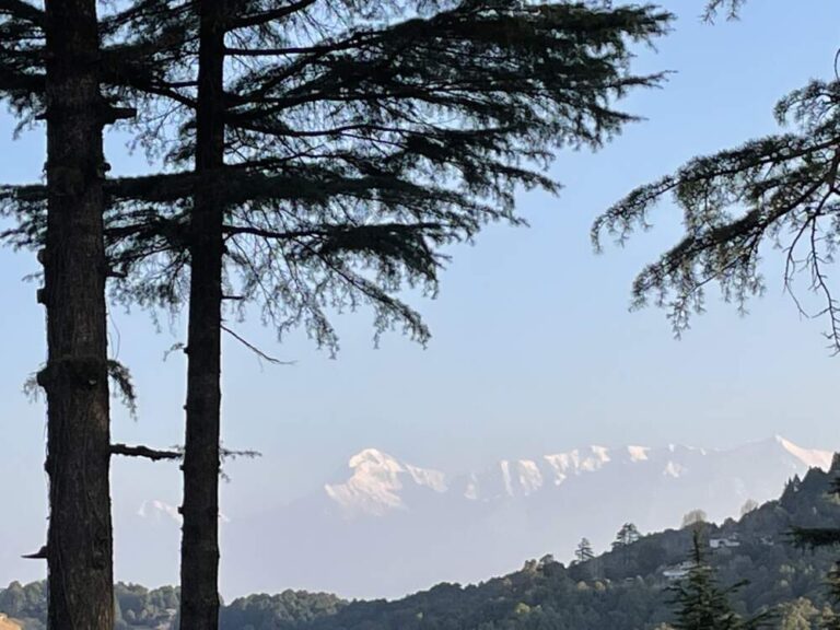 Incredible India  – our very special lower Himalayas trek