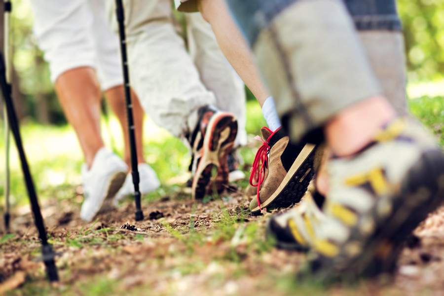 Nordic Walking 1