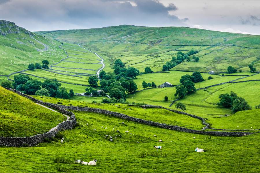 Experience the Breathtaking Beauty of the Yorkshire Dales with WalkingWomen!
