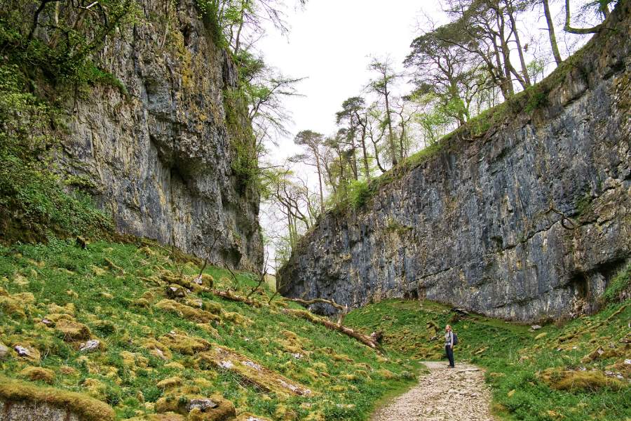 Dales in Bloom 4