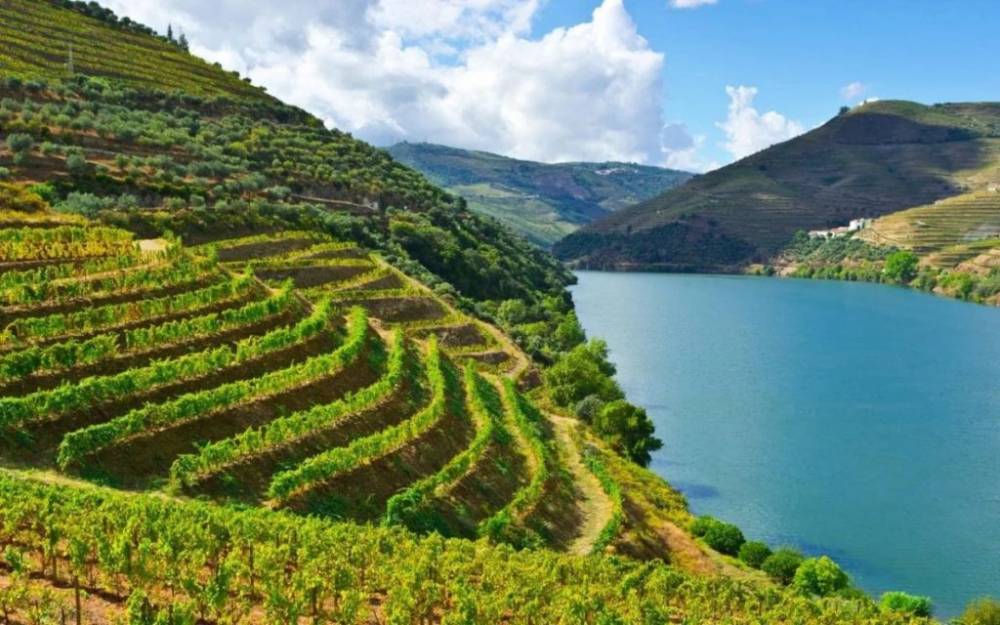 Douro