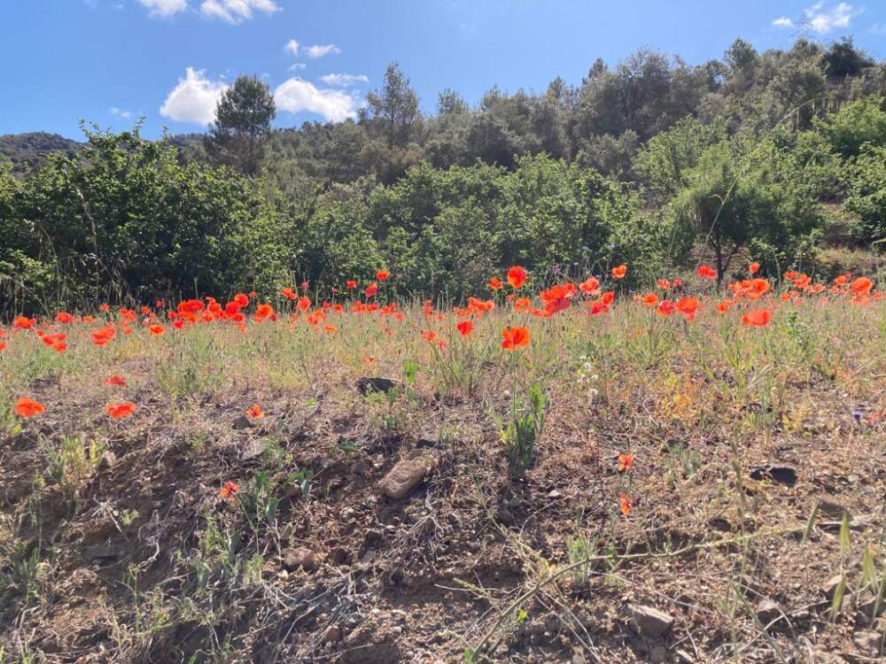 Northern Spain