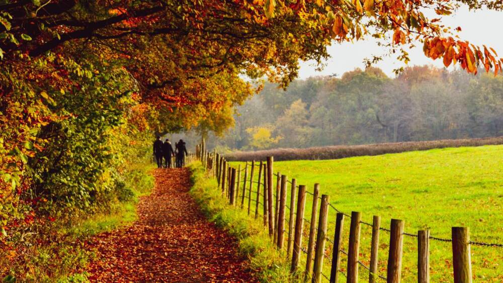 WalkingWomen - Autumn walks