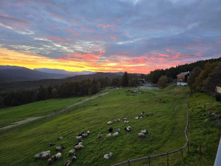 WalkingWomen very special Walking Week in Norway 2027