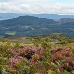 Scotland