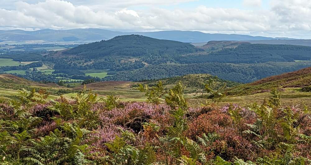 Scotland