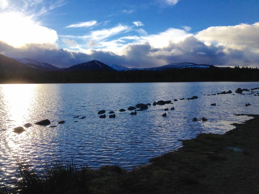 Scotland