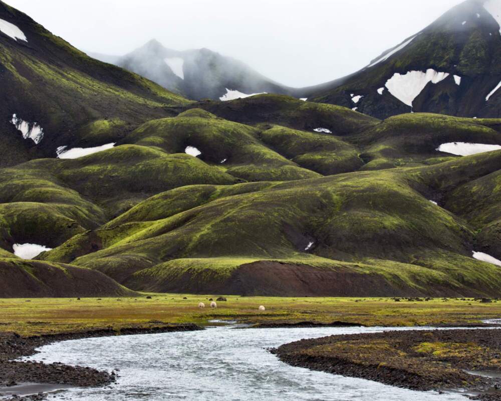 Iceland