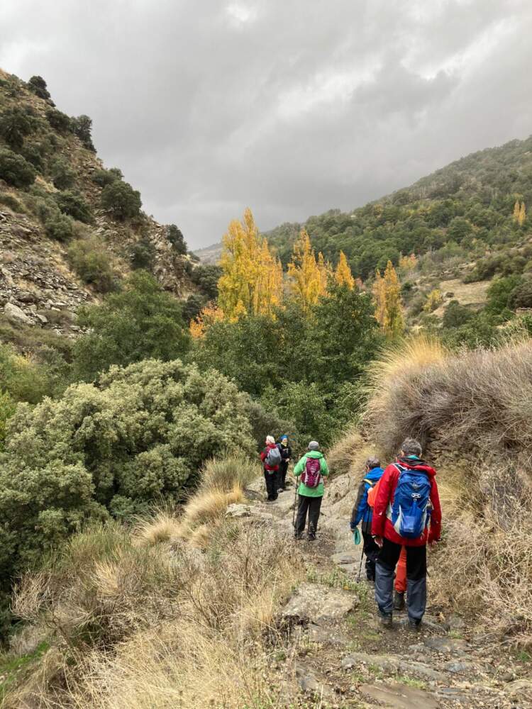Sierra Nevada