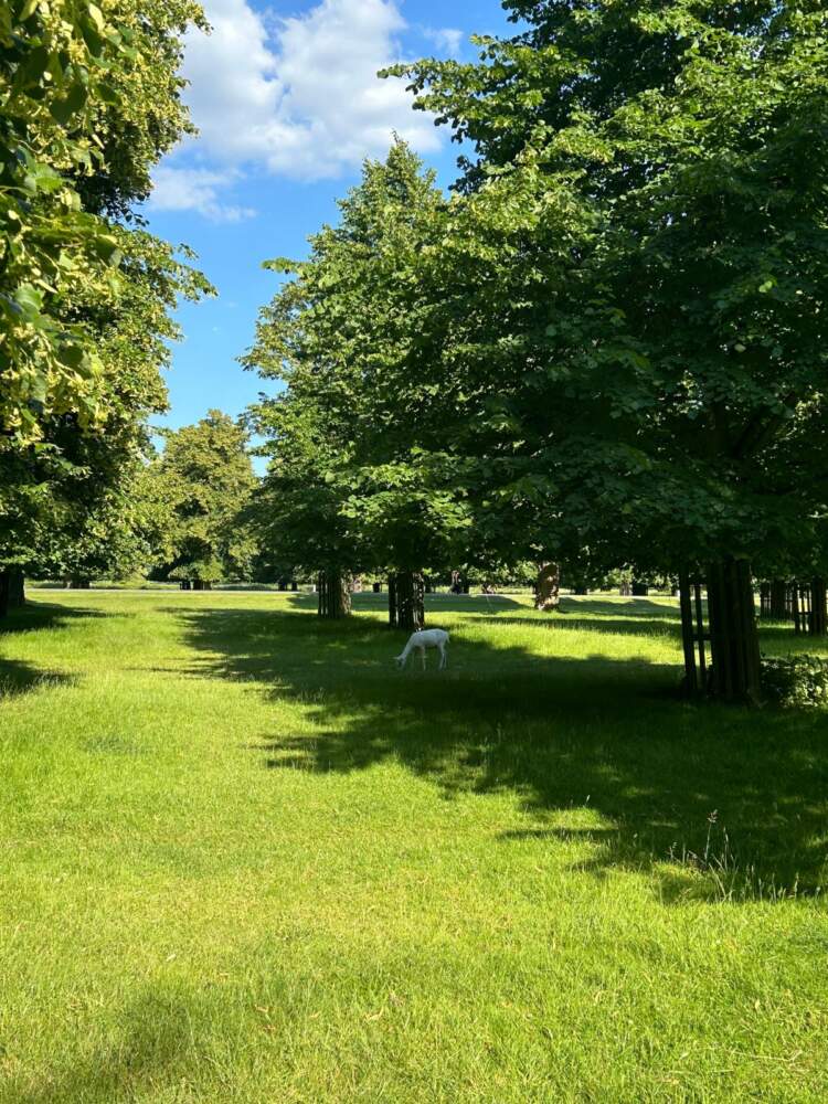 Surrey England