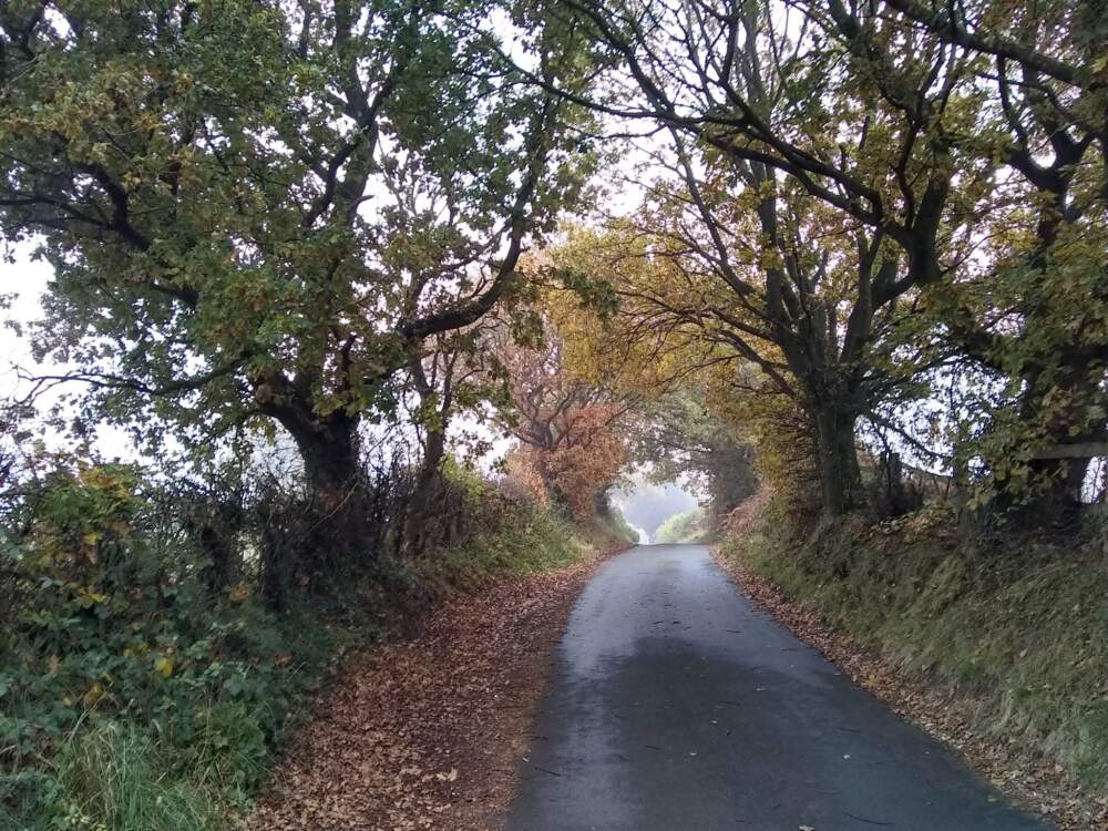 England 