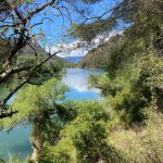 Spain Wine Walk