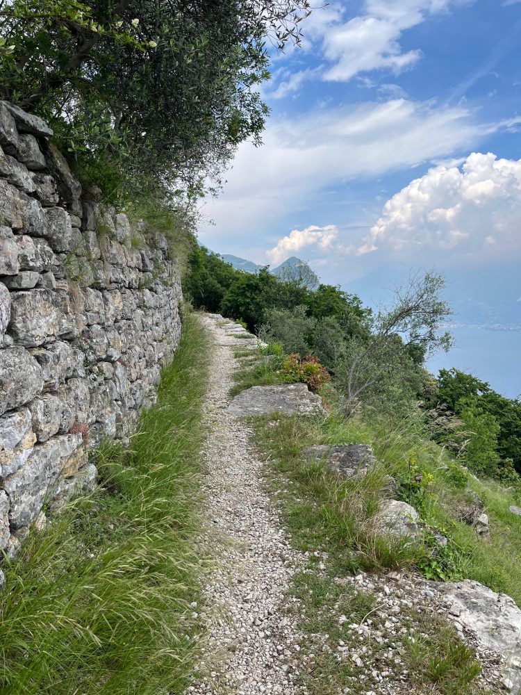 Hiking Health in later life by Rose