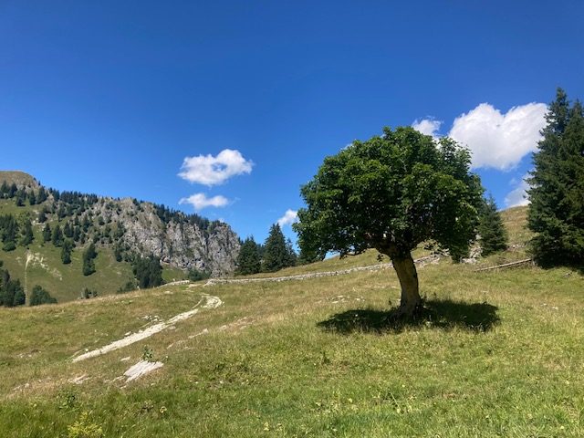 Switzerland