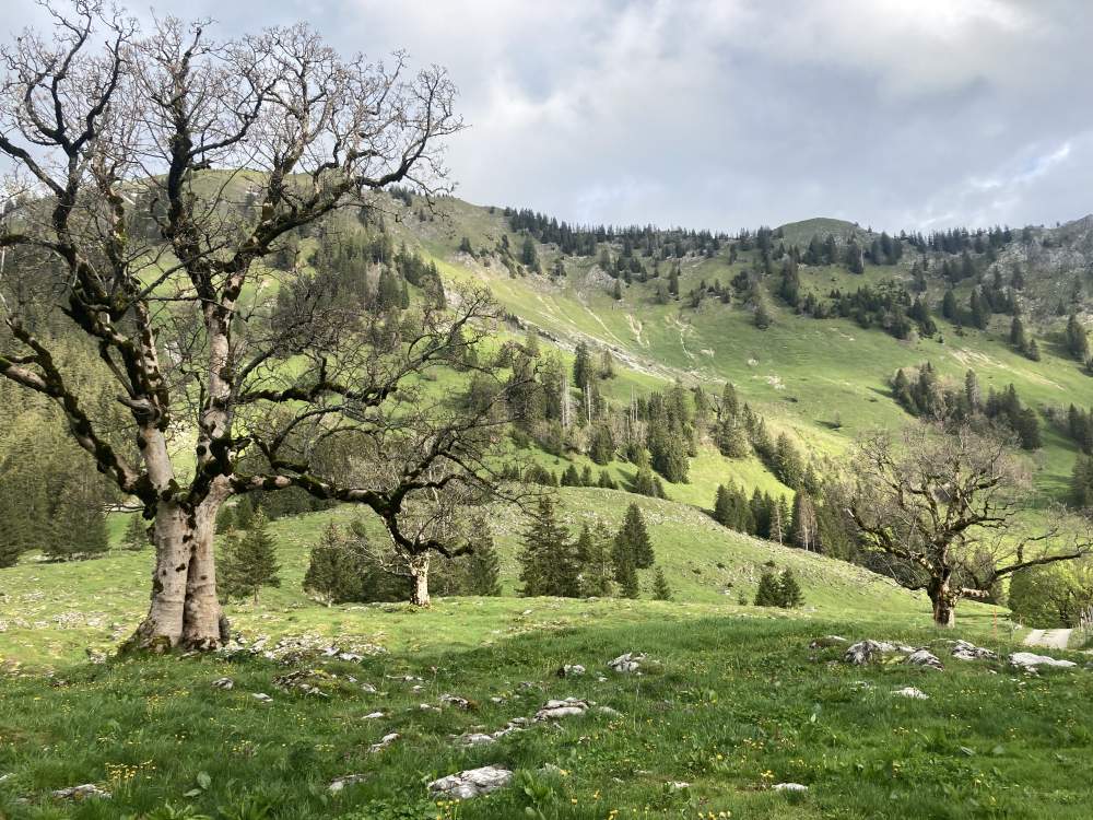 Switzerland