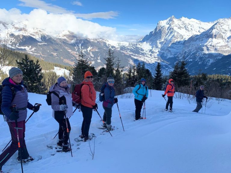 Winter Wonderland in the Bernese Oberland from Wengen, Switzerland