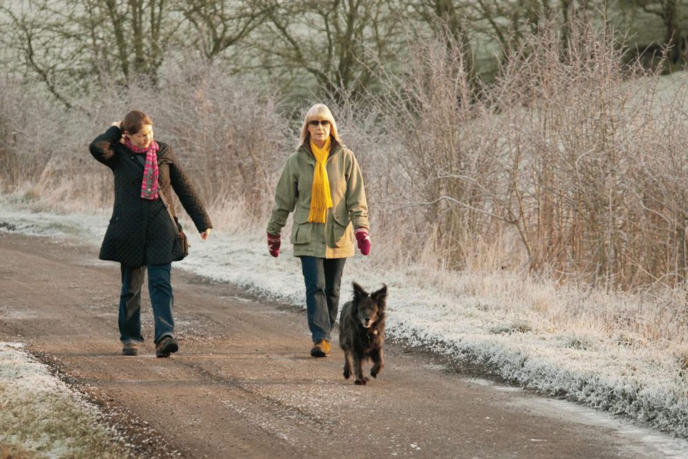 Walking Together -shared experience