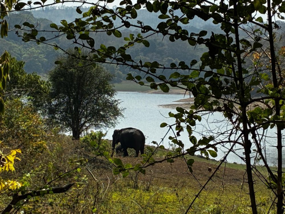 India