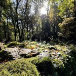 Cotswolds - Slad Valley