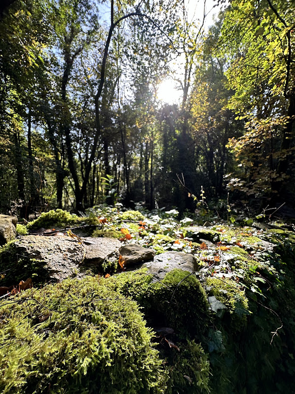Cotswolds - Slad Valley