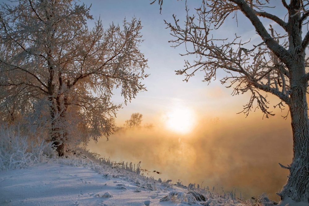 Morning Light Magic
