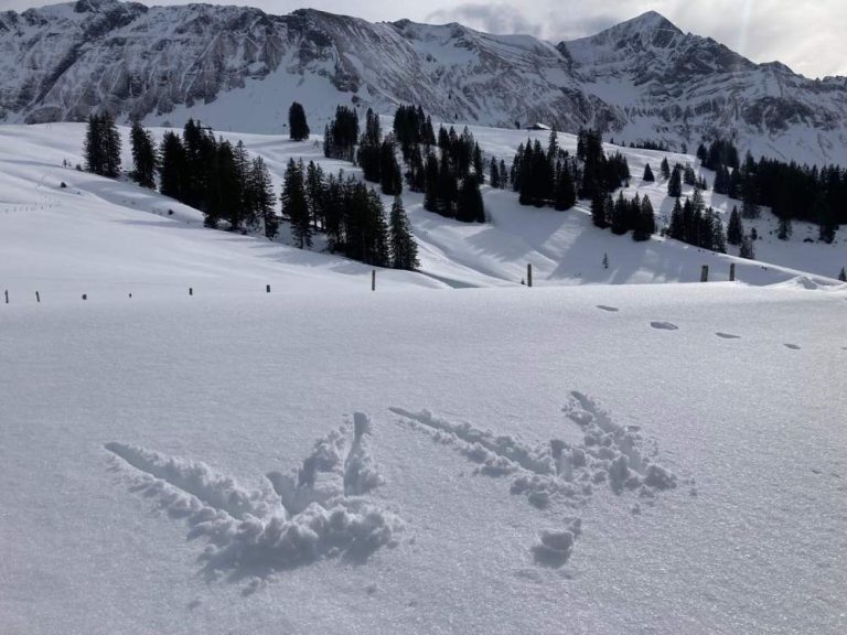 Our Magical Switzerland Snowshoe Trail 2027