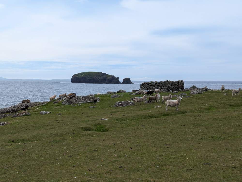 Shetland