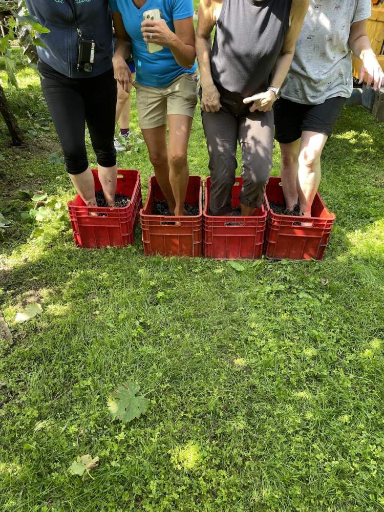 wine walking
